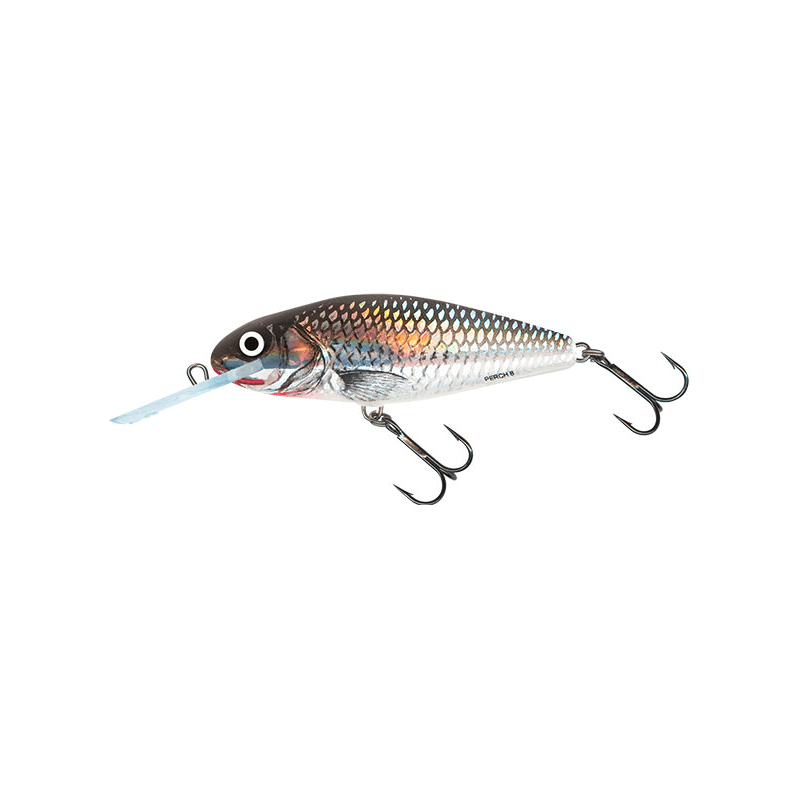 Perch Deep Runner holographic