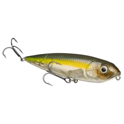 Leurre de surface KVD Sexy Dawg JR 9,5cm - STRIKE KING