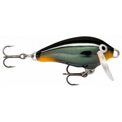 Leurre Mini Rap MFR03 - RAPALA